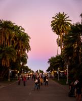 Balboa Park's Cotton Candy�